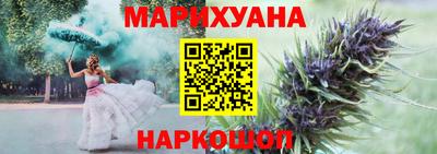 сатива Коммунар