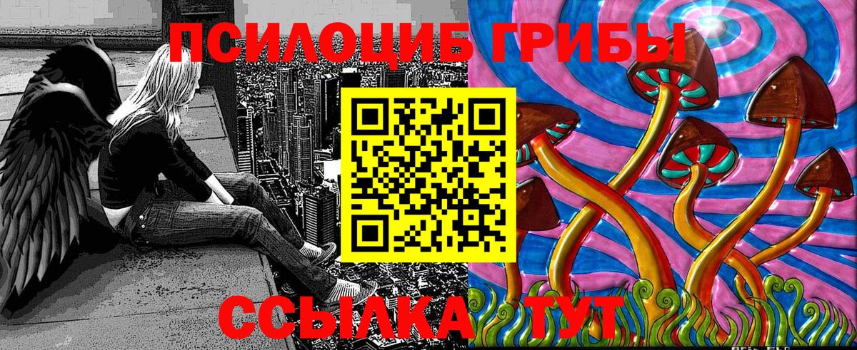 Камень-на-Оби  Псилоцибиновые грибы мицелий  где можно купить наркотик  Вход с VPN 