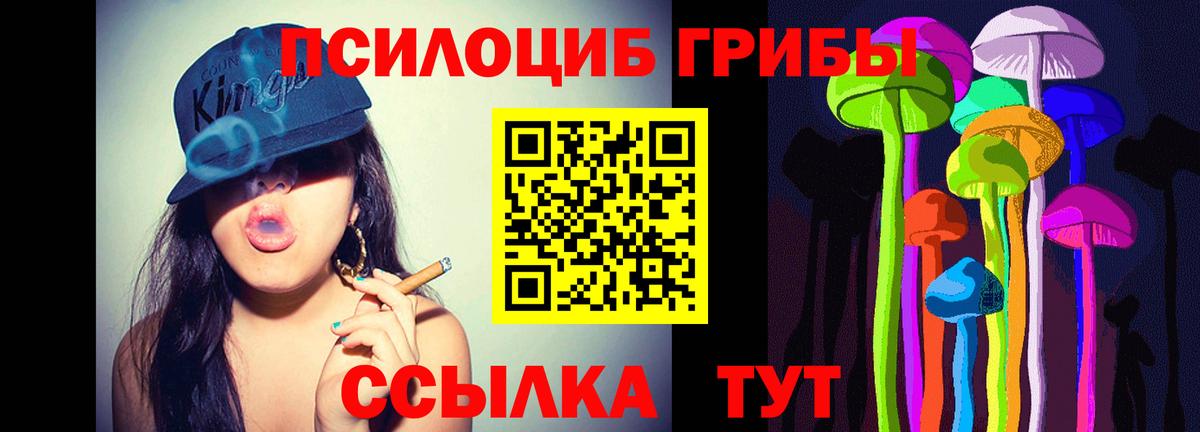 Псилоцибиновые грибы MAGIC MUSHROOMS Камень-на-Оби