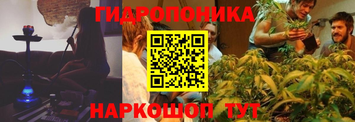 Канабис сатива Камень-на-Оби